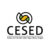 Centro de Estudios sobre Seguridad y Drogas (Cesed)